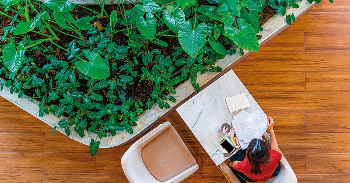 Workplace Hospitality: When the FM Becomes the Strategic Host