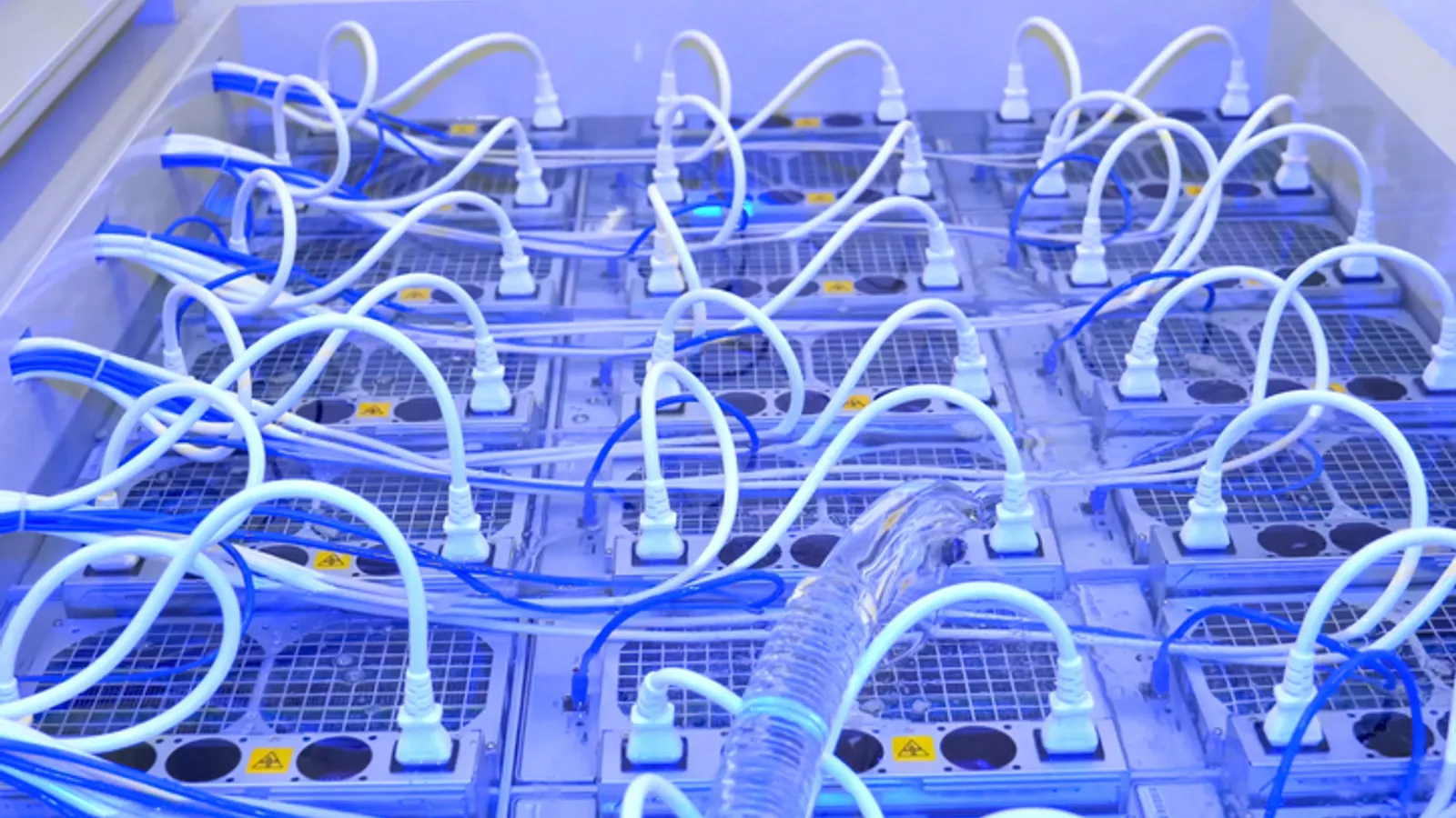 Immersion Cooling Fluid Selection: What Facility Managers Need to Know