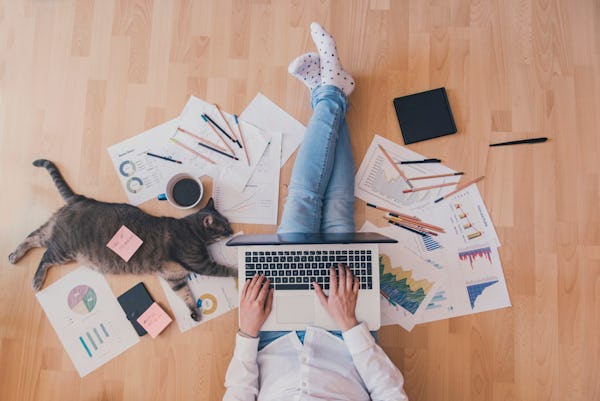 5 million hybrid workers, almost no policy: the Dutch workplace gap