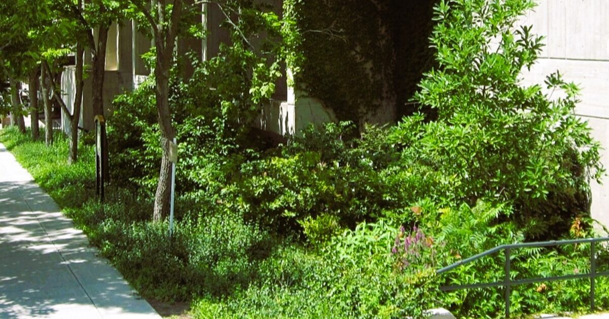 Rain gardens move from civil works to the FM playbook in smart cities