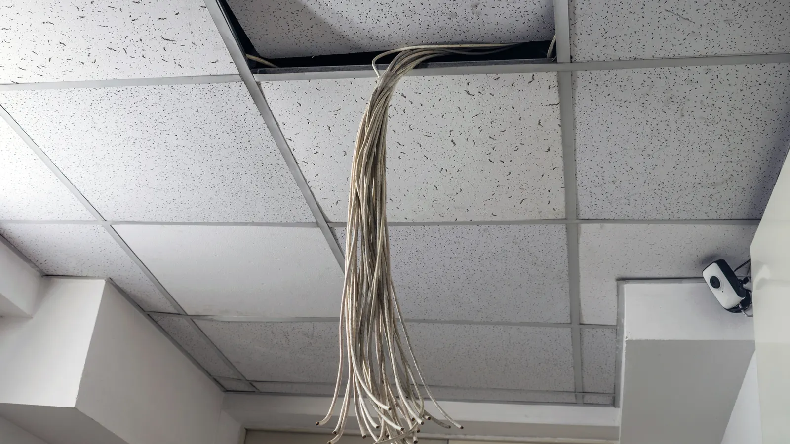 Counterfeit Communication Cables: A Hidden Fire Risk in Your Building